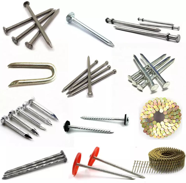 China common nails supplier,china galvanized nail supplier,china concrete nails supplier,china coil nails supplier