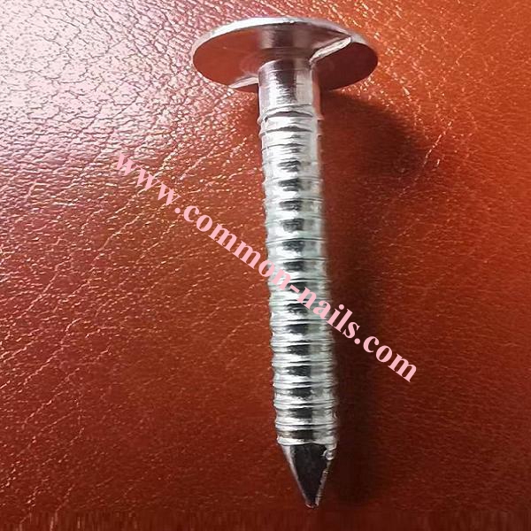 Large flat head annular ring shank roofing nails manufacturer.3.0mm x 30mm galvanized ring shank roofing nails supplier,3.5mm x 30mm galvanized flat head ring shank roofing nails manufacturer