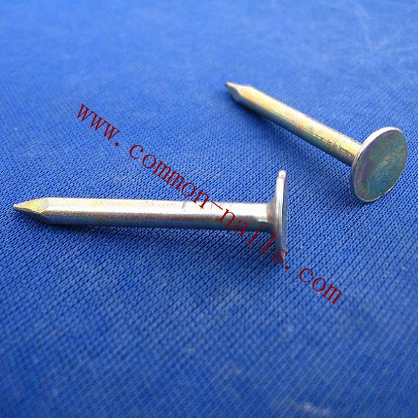 Large flat head annular ring shank roofing nails manufacturer.3.0mm x 30mm