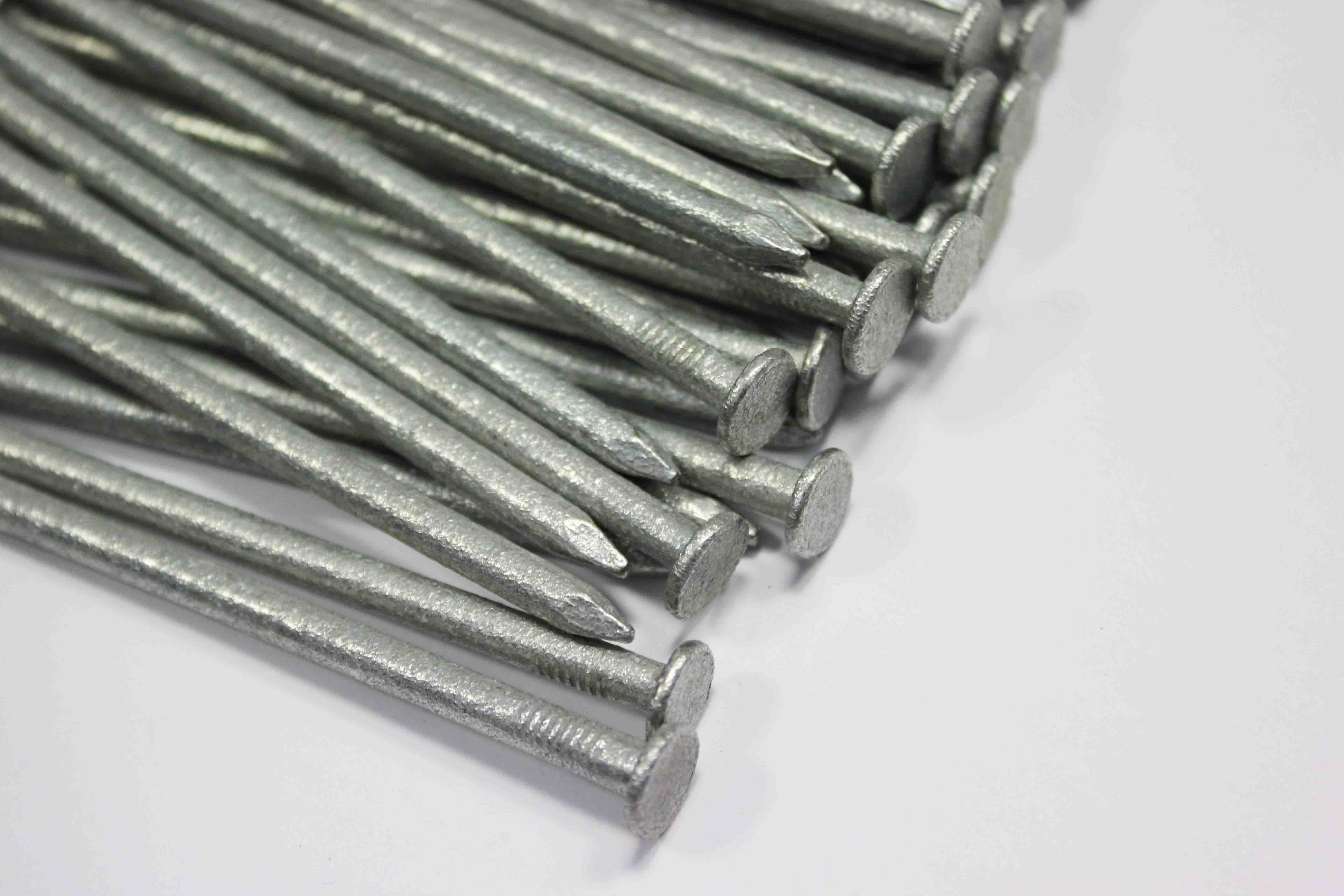 china hot dipped galvanized common nails factory 50lbs