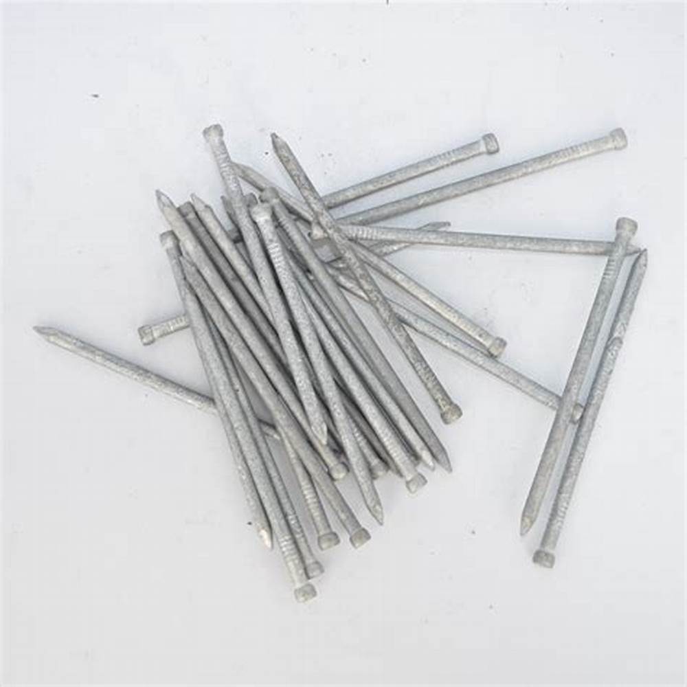 china bullet head nails supplier,china brad head nails supplier, china jolt head nails supplier