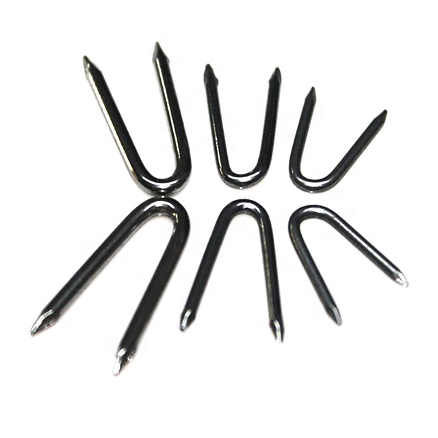 1/2" fence staples supplier