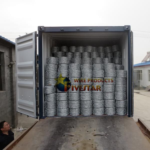 double galvanized barbed wire 250kgf 500m 16g manufacturer