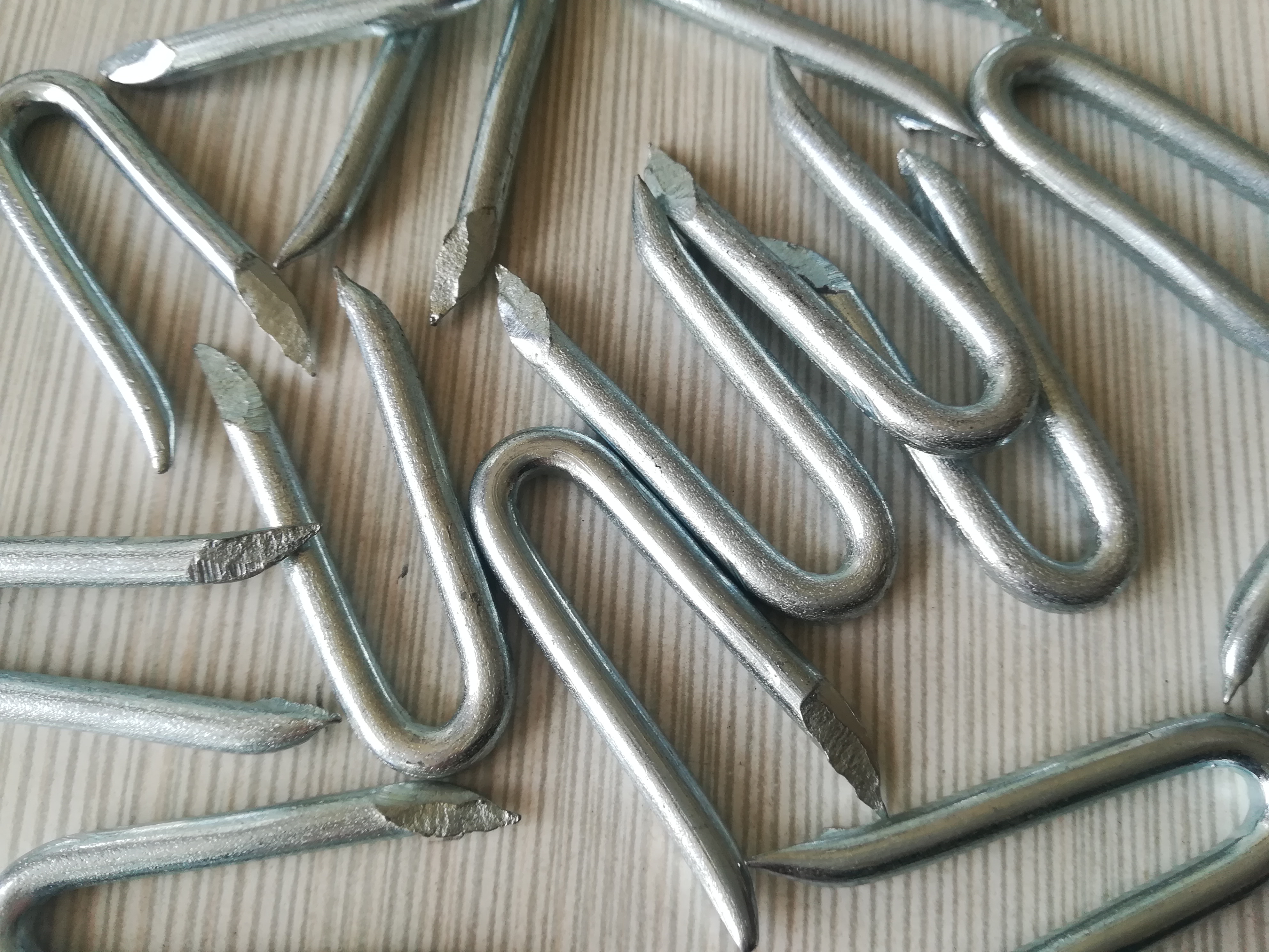 China galvanzied fence staples supplier, china diamond point fence staples supplier,china hot dipped galvanized fence staples.