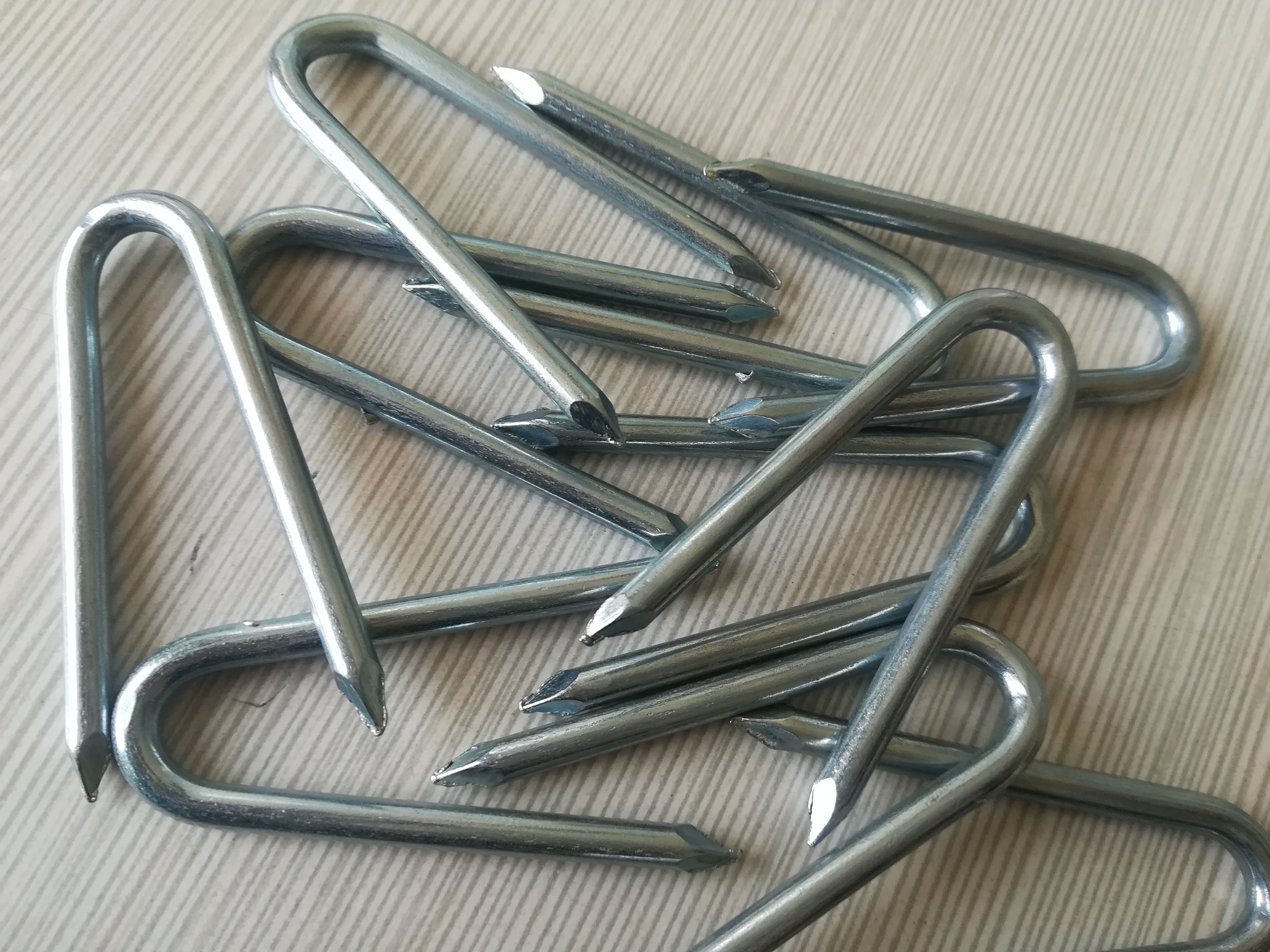 China 2" fence staples supplier,china 1-3/4" fence staples supplier, china 1" fence staples supplier