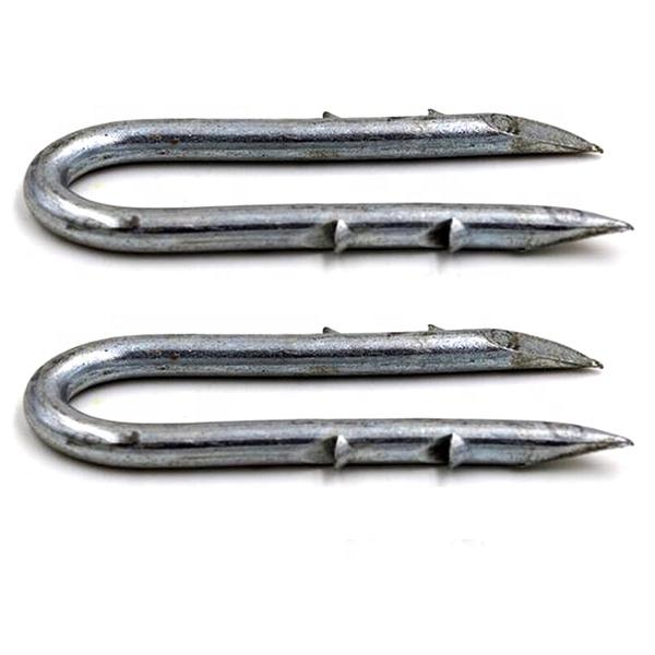 China barbed fence staples, china double barbed shank fence staples,china fence staples