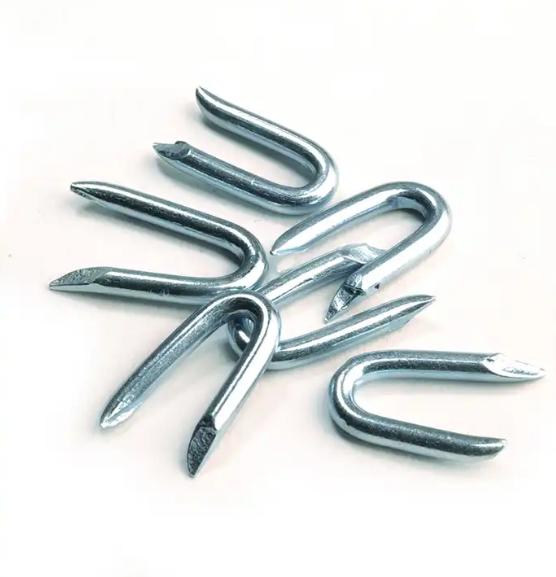 China galvanized u type fence staples supplier