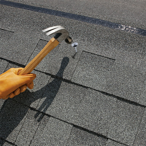 umbrella corrugate roofing nails 