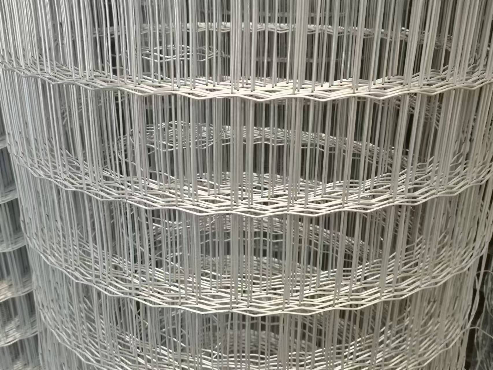 hot dipped galvanized welded wire mesh manufacturer