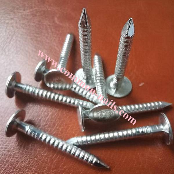 3.5MM GALVANIZED RING SHANK ROOFING NAILS SUPPLIER