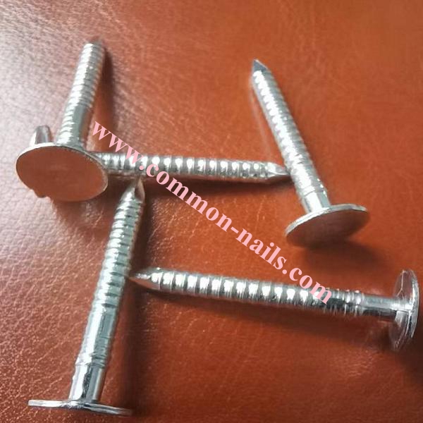 1" galvanized ring shank roofing nails supplier,china 1-1/2" large flat head galvanized ring shank roofing nails supplier,china 1-3/4" large head roofing nails ring shank manufacturer