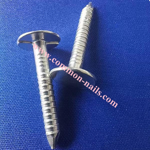 Large flat head annular ring shank roofing nails manufacturer.3.0mm x 30mm galvanized ring shank roofing nails supplier,3.5mm x 30mm galvanized flat head ring shank roofing nails manufacturer