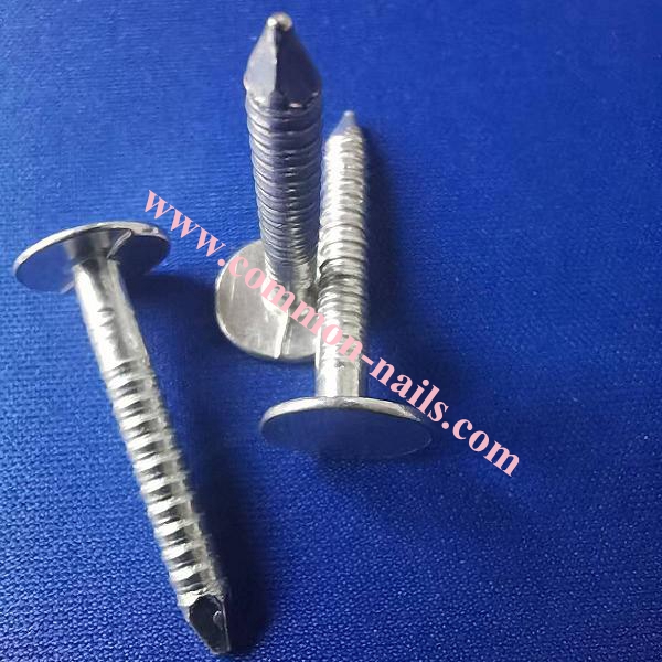 1" galvanized ring shank roofing nails supplier,china 1-1/2" large flat head galvanized ring shank roofing nails supplier,china 1-3/4" large head roofing nails ring shank manufacturer